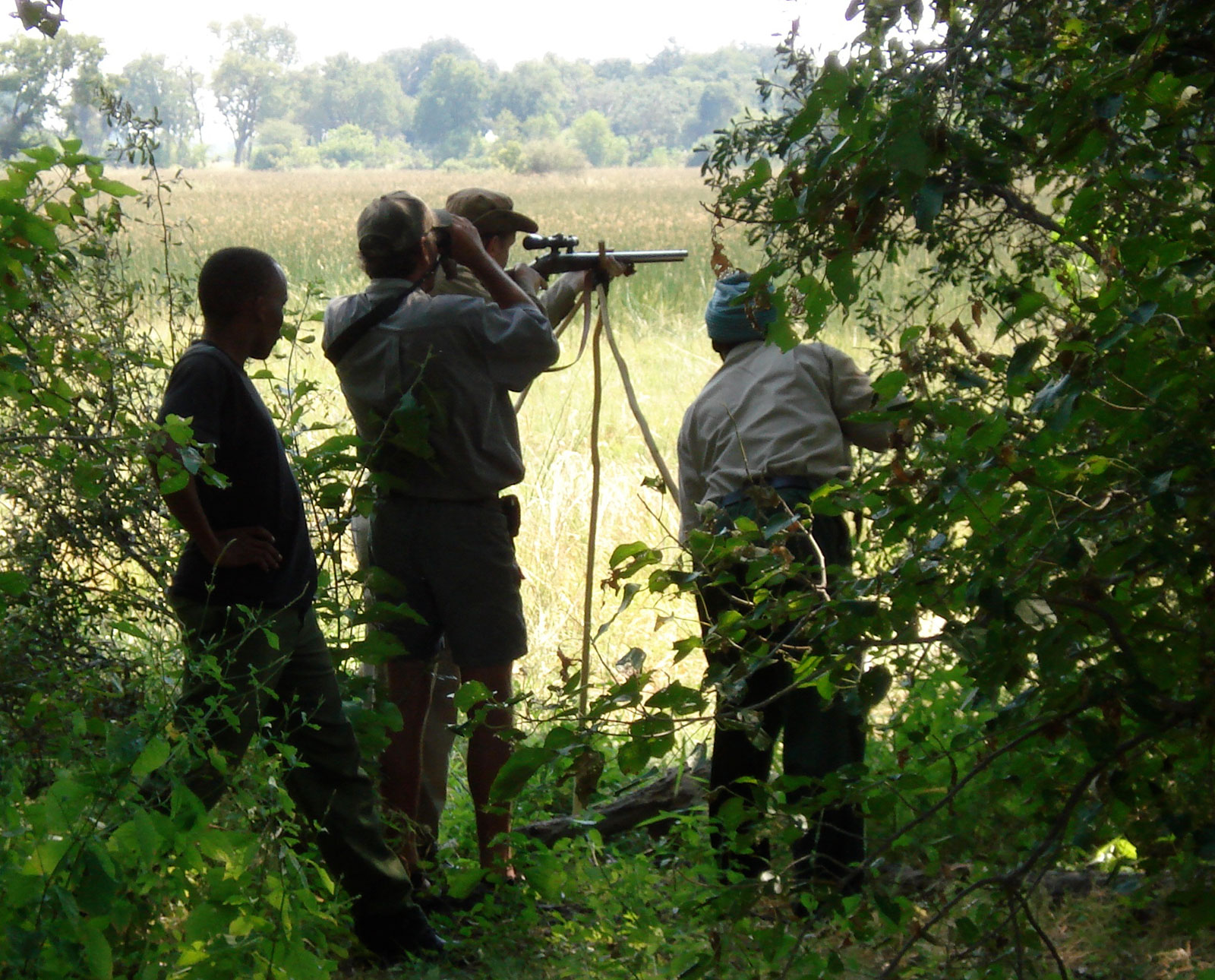 Trophy Hunting, Poaching or Population Reduction?