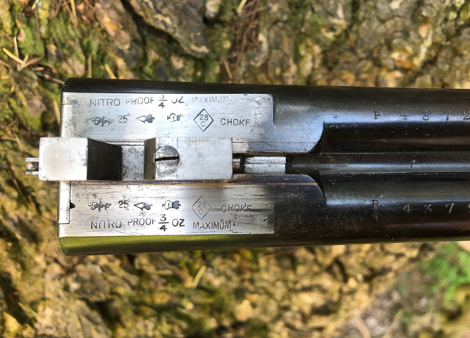 Rules of Proof 5 (London)