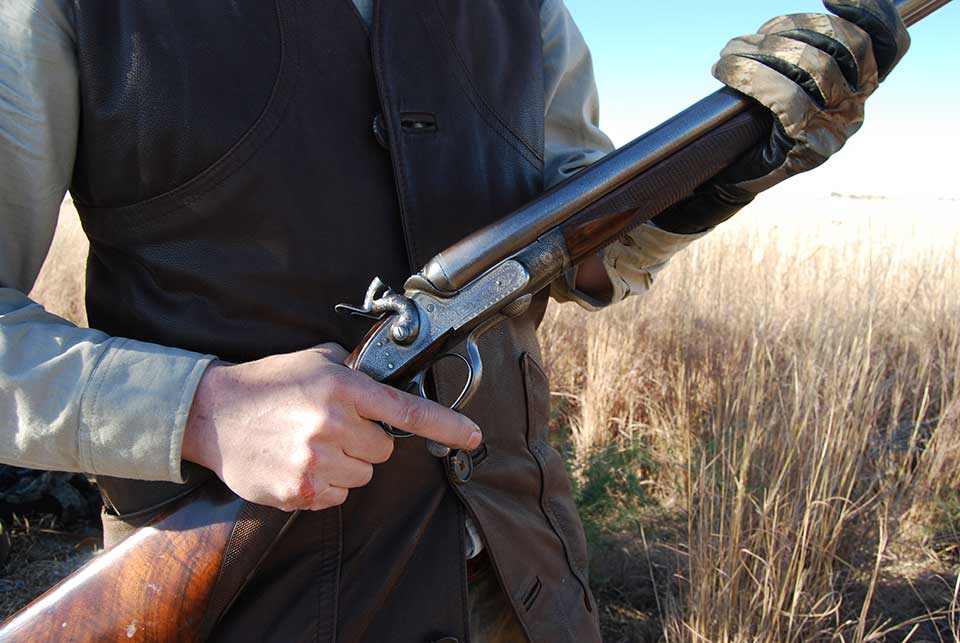 hammer guns resurgent