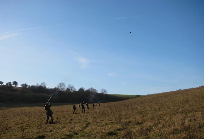 Driven Shooting Etiquette
