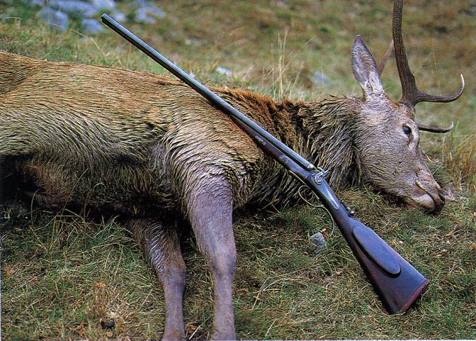Lord Tweedmouth's Purdey Goes Home