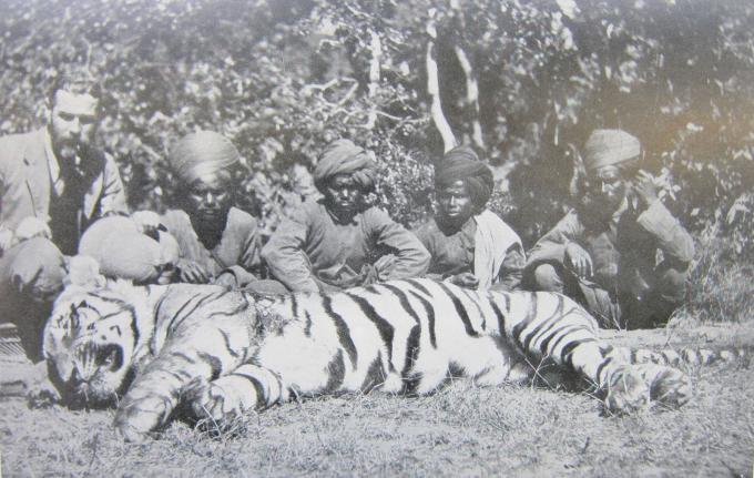 The Tiger & Major Taylor