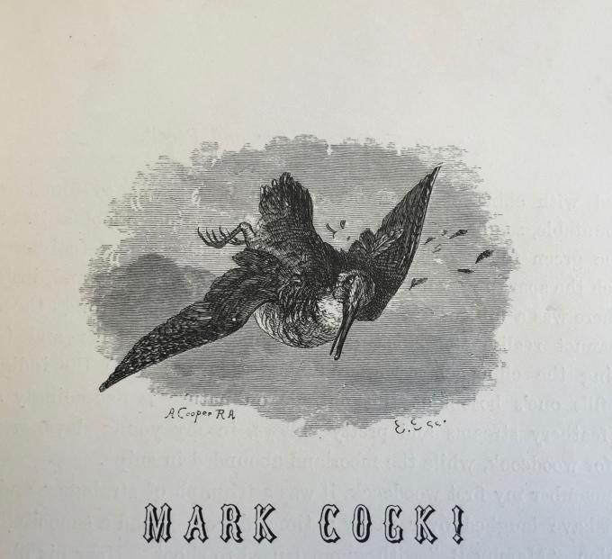 Mark Cock!