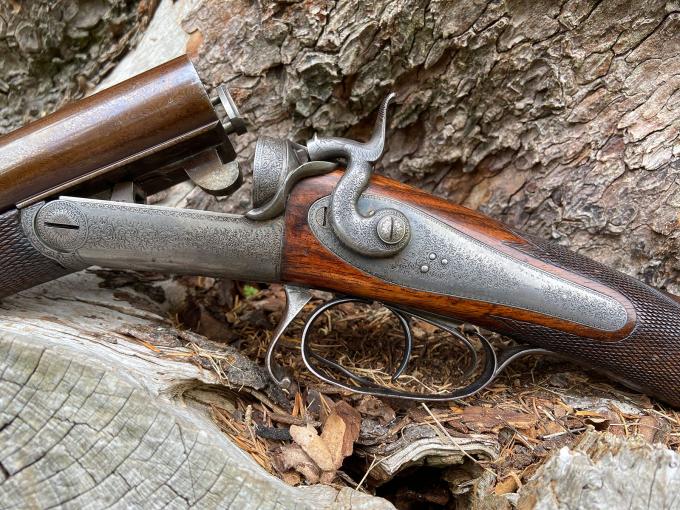 Driven Pheasant test No.2