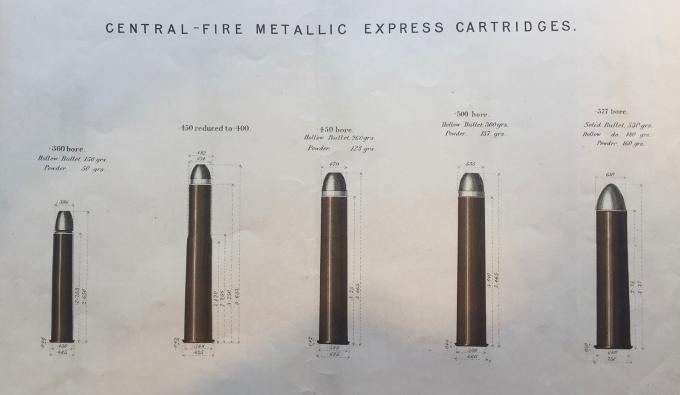 Express Rifles