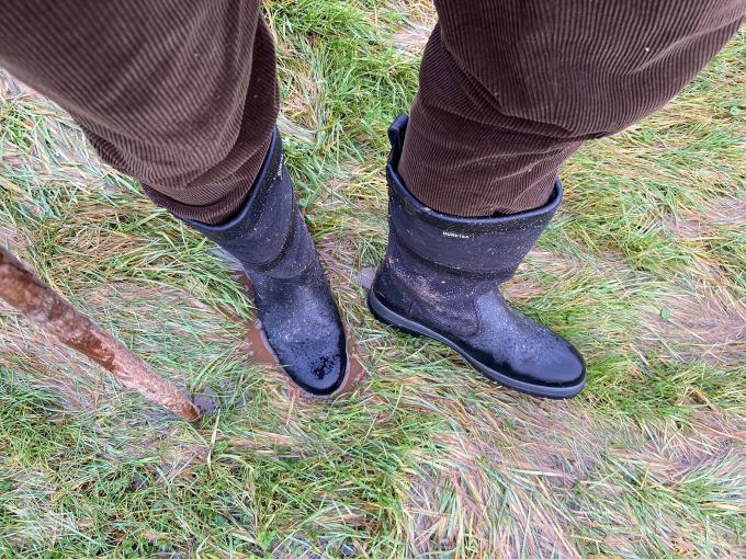 Dubarry Kildare Boots