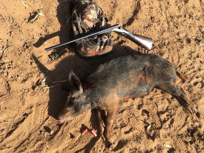 Pigging with the Explora