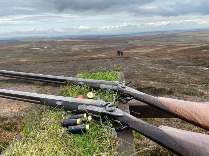 An Unscientific Study