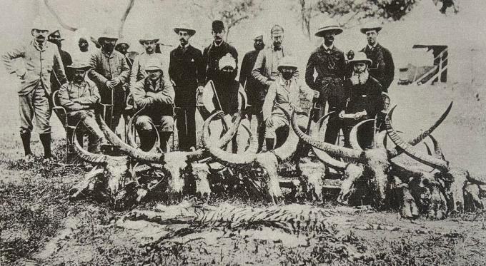 Guns of the Ripons, Part 3.