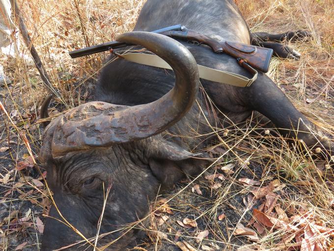 When Ugly is Beautiful