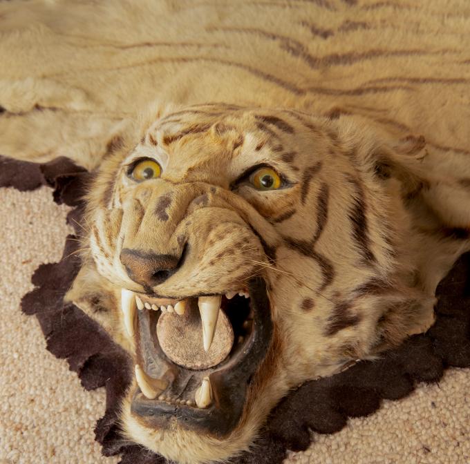 A Forgotten Relic of Corbett