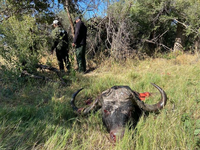 USAID Demise Wrecks Conservation Efforts