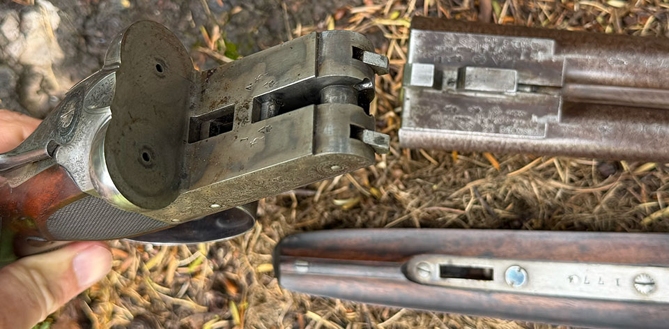 Internal surfaces still retain their original sharpness and traces of colour.