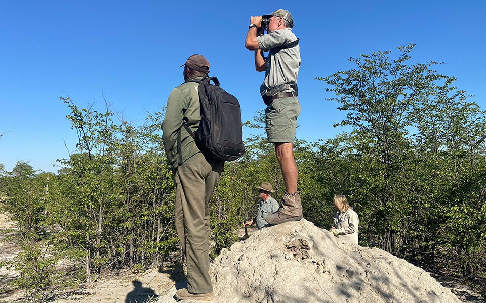Without USAID funding, searching for poaching gangs won't happen.