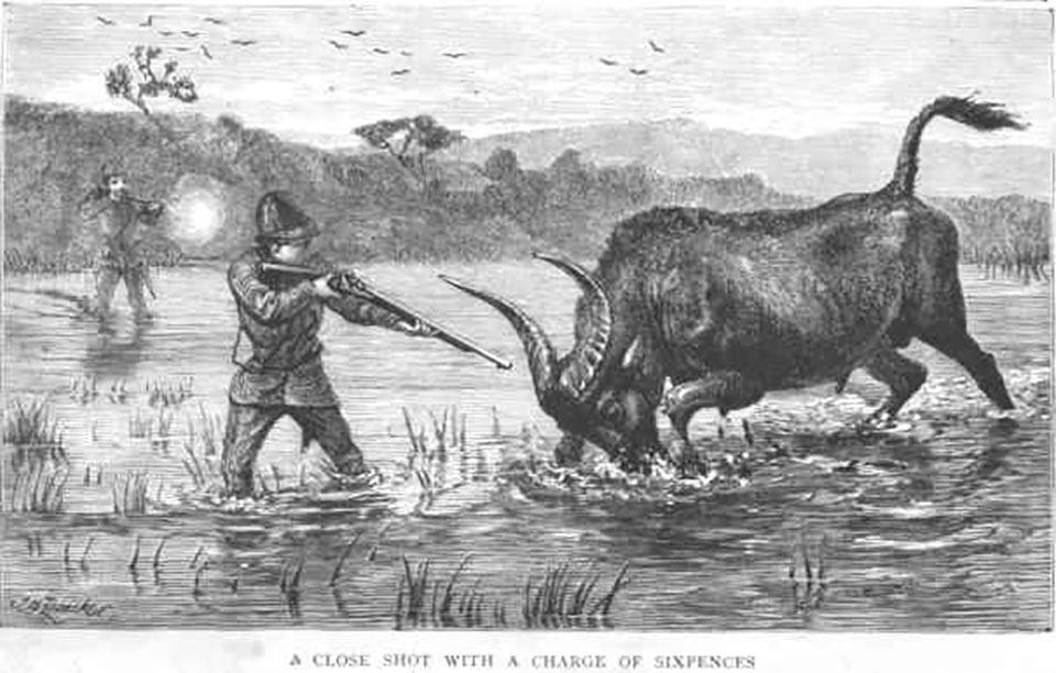Baker engages a buffalo in Celon.