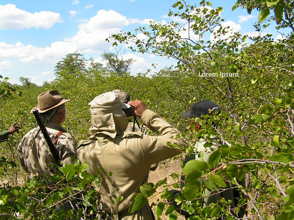 Areas of thick bush left to wild animals only exist because hunting concessions make them valuable to local people.