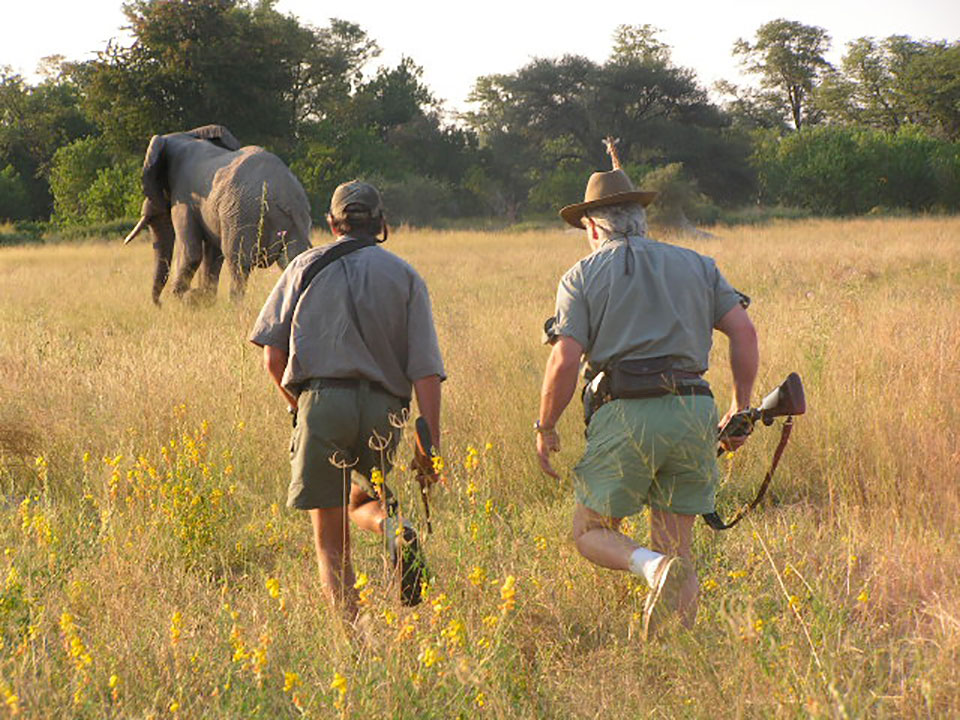 You don't have to like the idea of hunting to understand the value hunting brings to nature conservation.