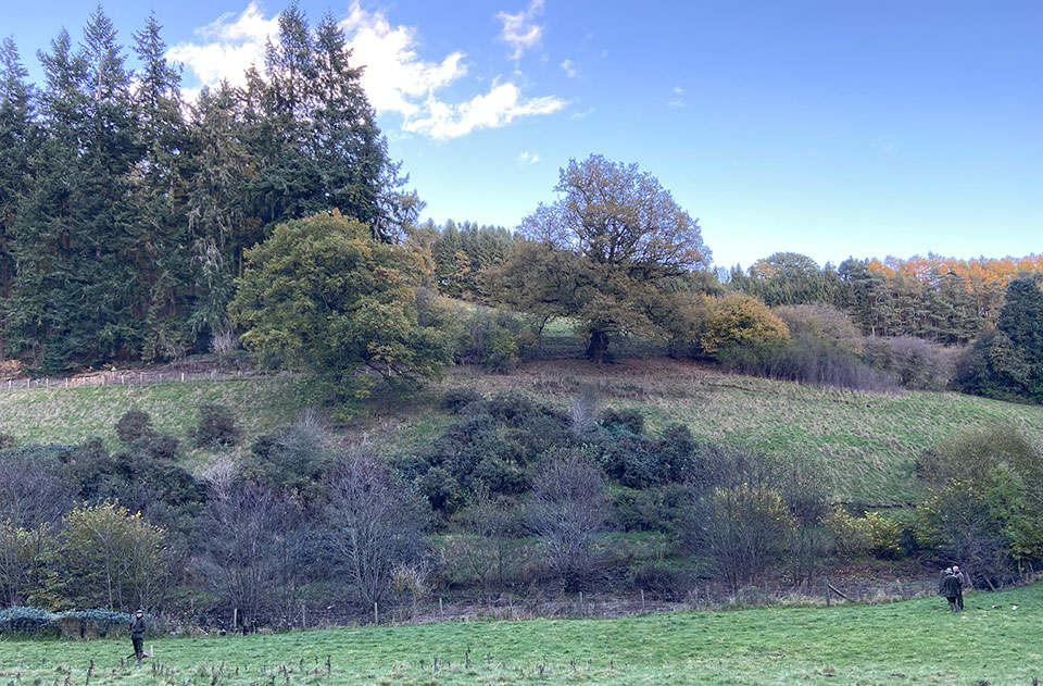 Shropshire estates are perfect for presenting sporting birds.