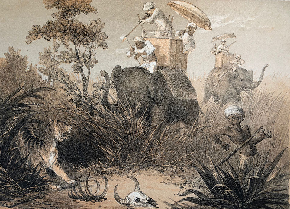 Each story is accompanied by a lithograph. Here we can see the conclusion of the tiger hunt.