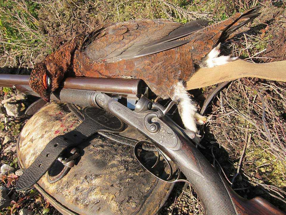 Cashmore 20-bore hammer gun with grouse taken using 23g of No.6. A proper 20-bore load.