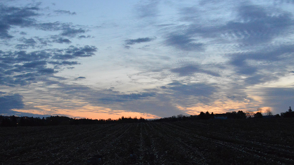 An October sky at the end of the day - a pallet of pastels.