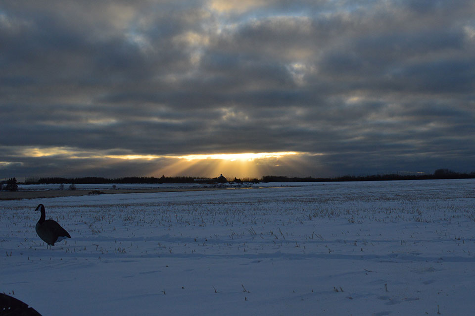 An awe-inspiring end to a December day spent hunting Canada geese on Prince Edward Island.