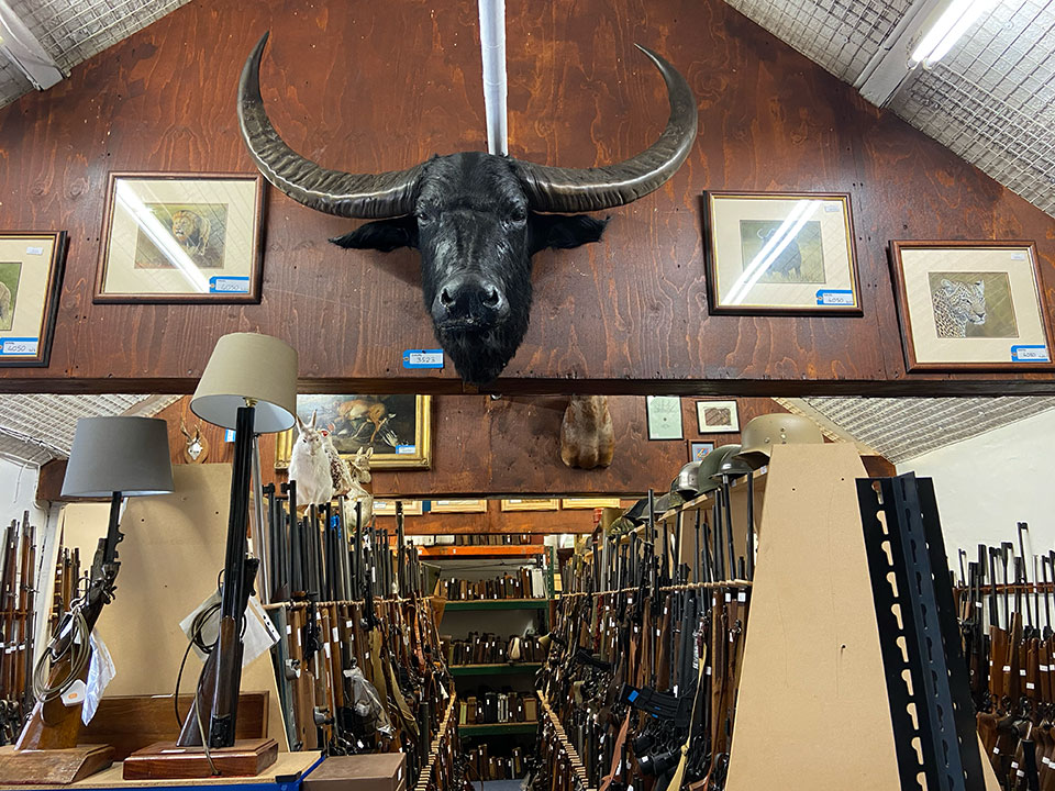 Interesting taxidermy is always on offer.