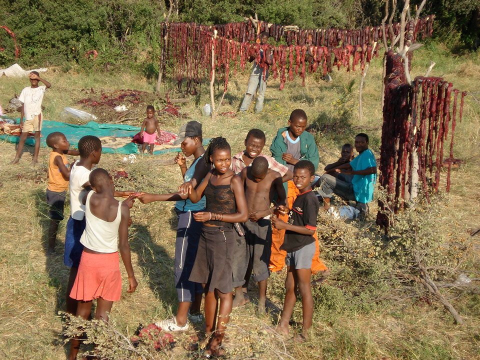 Trophy hunting for elephants produces much valued meat for these villagers in Botswana.