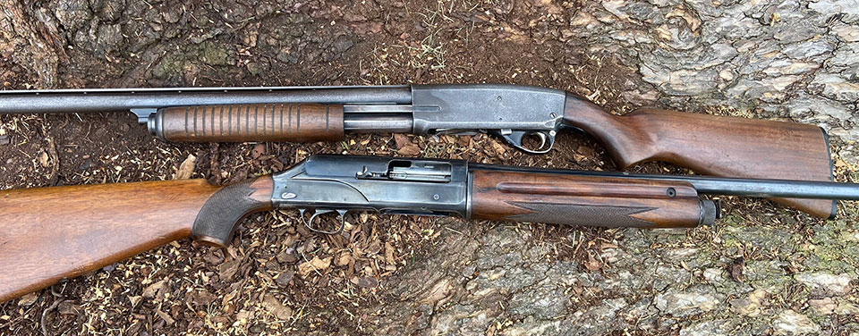 Savage pump and Breda semi-auto.