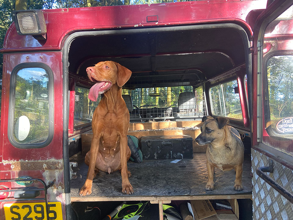 Dogs and guns reside in the back, mostly.