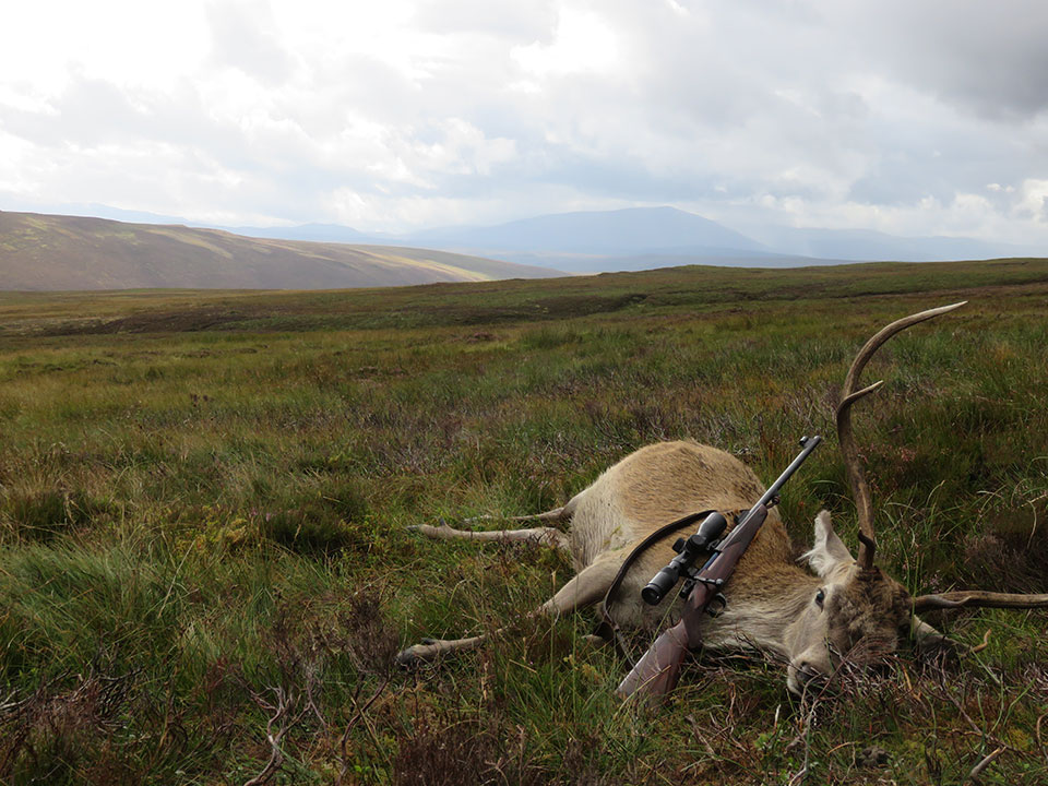 Stalkers have been taking deer off the Scotish hill for centuries, the sport has changed little but the rifles have improved.