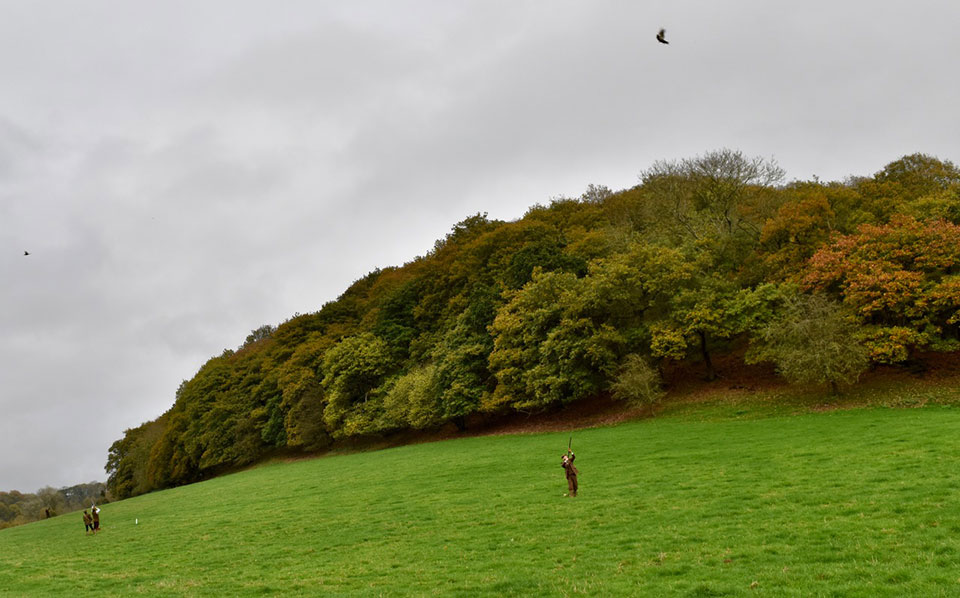 Diggory drops a high pheasant with his Grant 16-bore hammer gun..