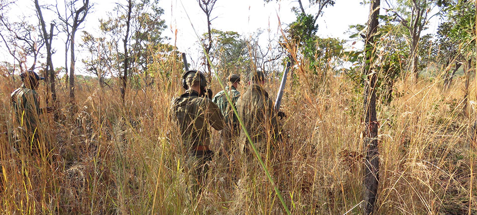 Most hunting areas are remote, inaccessible to tourists and thick with vegetation, making them impractical for the photo-tourist.