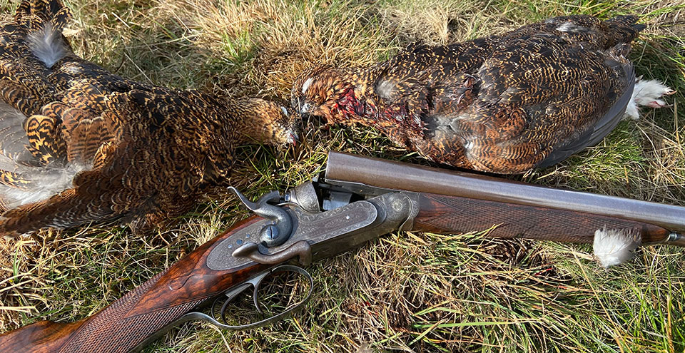 The 16-bore Grant, used with lead and bismuth.