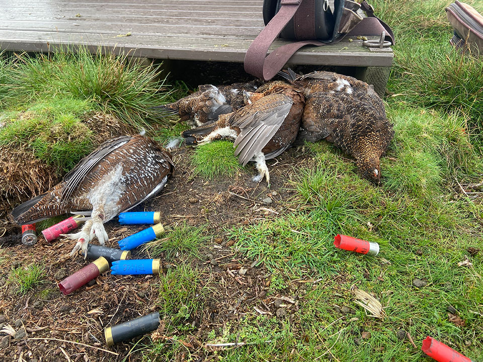 A mix of BioAmmo Blue and lead cartridges were put to the test.