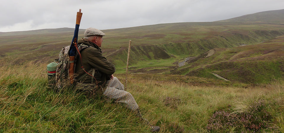 Sportsmen revere and value Scotland's deer, but to the Scottish Government they are vermin.