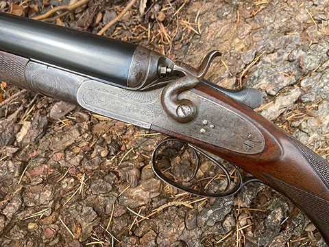Pollard   2946